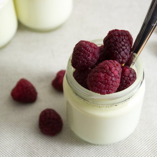 Raw Milk Yogurt