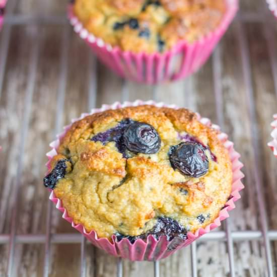 Blueberry Muffins