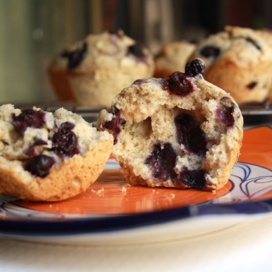 Blueberry Muffins