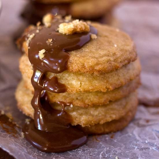 Chocolate Covered Snickerdoodles