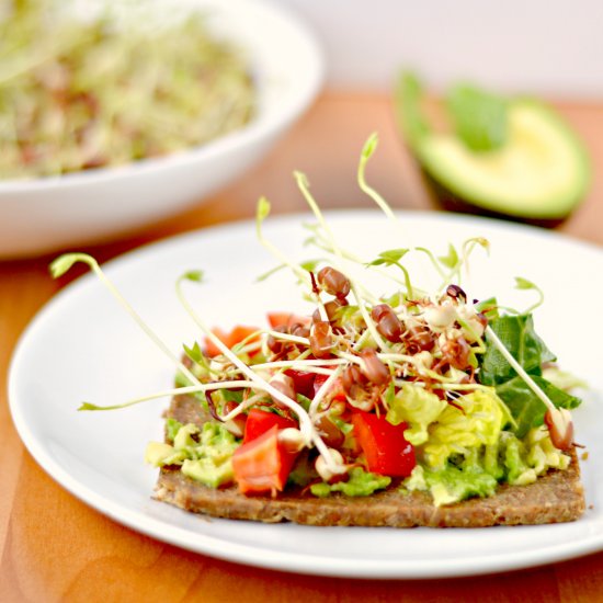 Avocado Sandwich with Sprouts