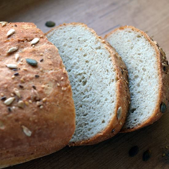 Newbie Gluten Free Bread