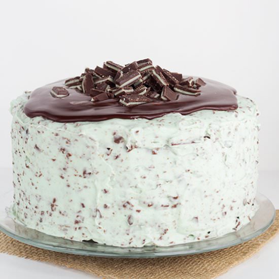 Mint Chip Cake