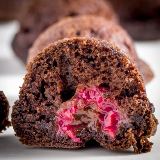 Chocolate Raspberry Bites