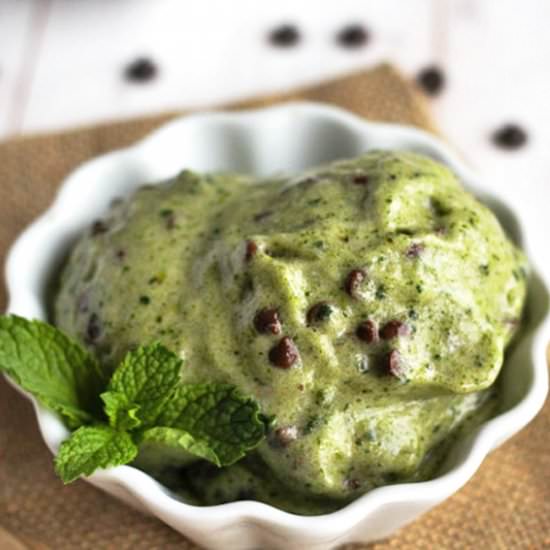 Easy Mint Chocolate Chip Ice Cream