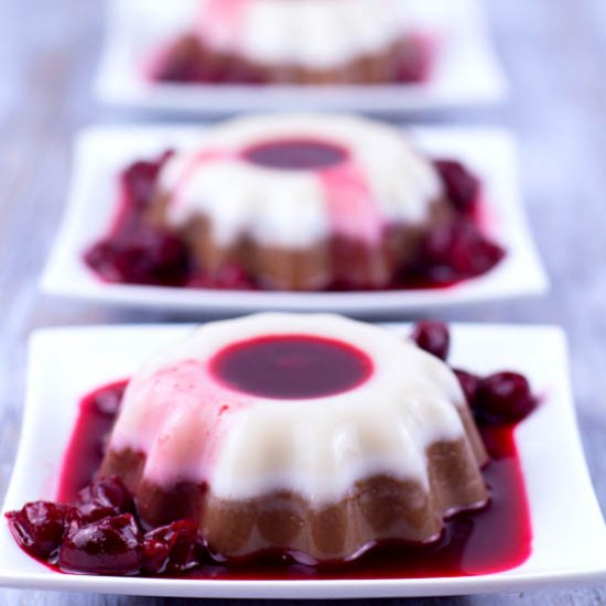 Coconut Chocolate Panna Cotta