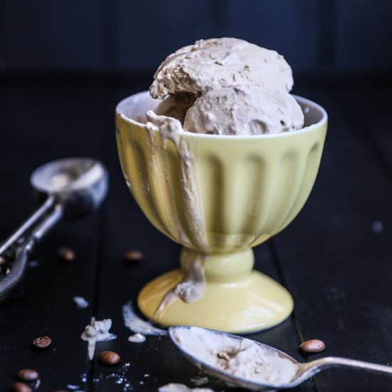 Vegan Coffee Coconut Ice Cream