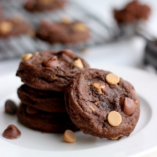 Chocolate Peanut Butter Cookies