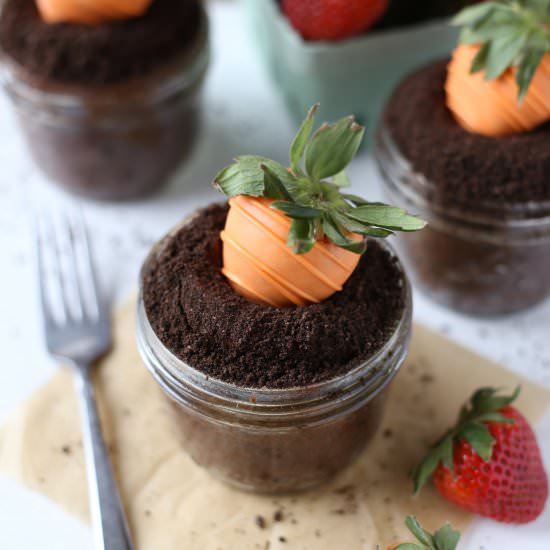 Garden Carrot Cupcakes