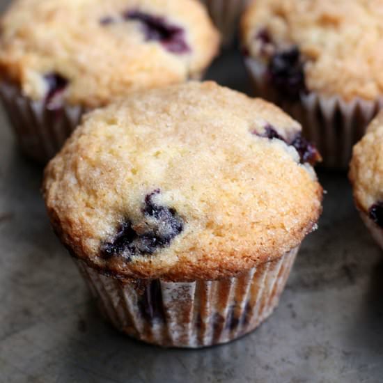 Blueberry Muffins