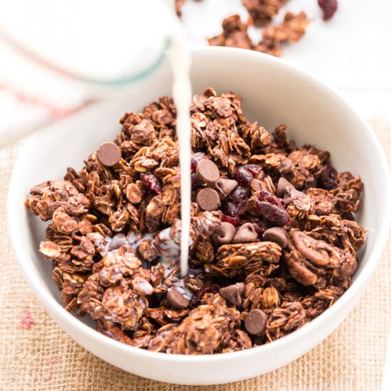 Big Cluster Chocolate Granola