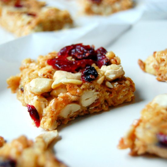 No Bake Cranberry Cashew Bars