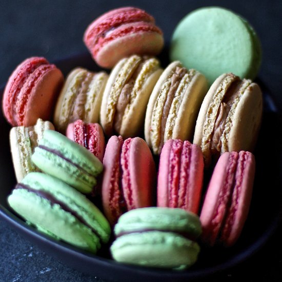 Basic Macarons