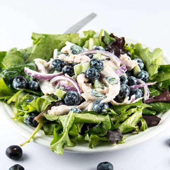 Creamy Blueberry Chicken Salad