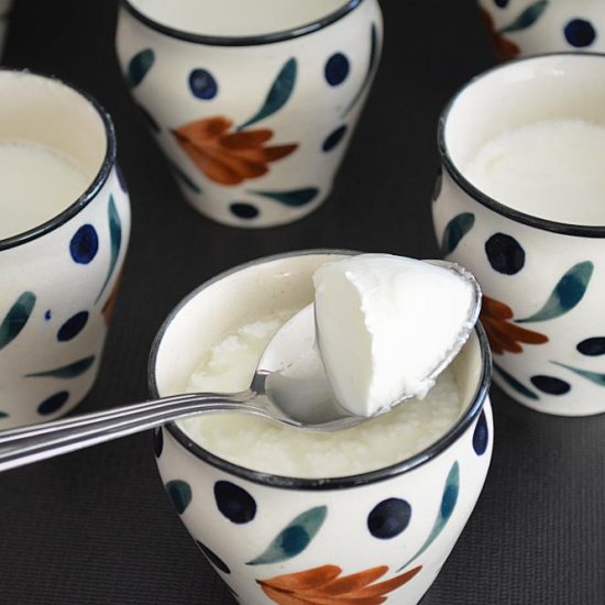 Curd yogurt