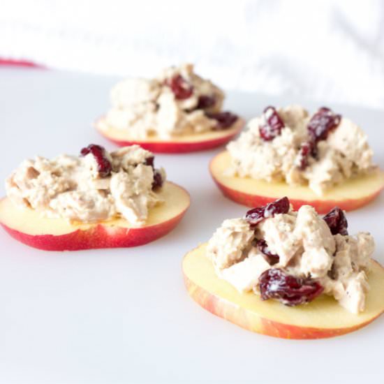 Cranberry Tuna Salad on Apple Slice