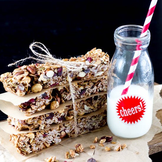 No-Bake Trail Mix Granola Bars