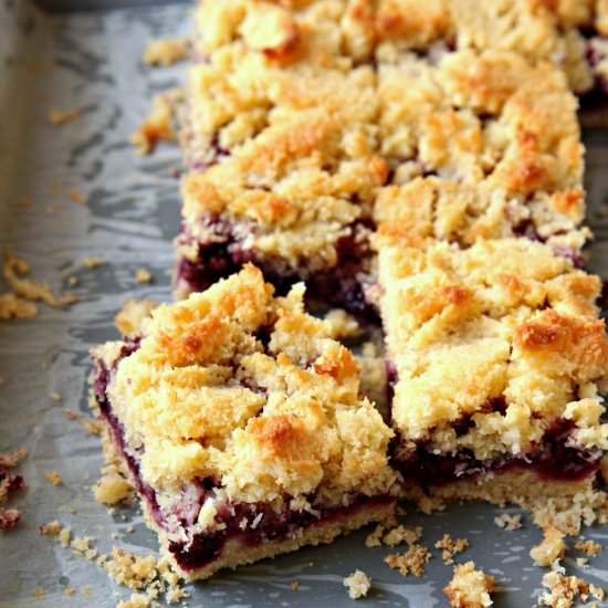 Blackberry and Coconut Slice