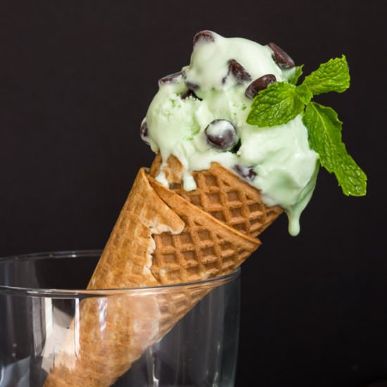 Mint Chocolate Chip Ice Cream