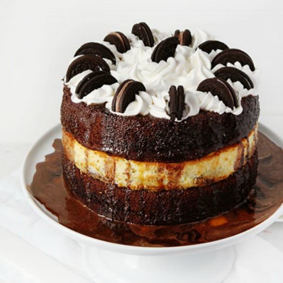 Oreo Cheesecake Cake