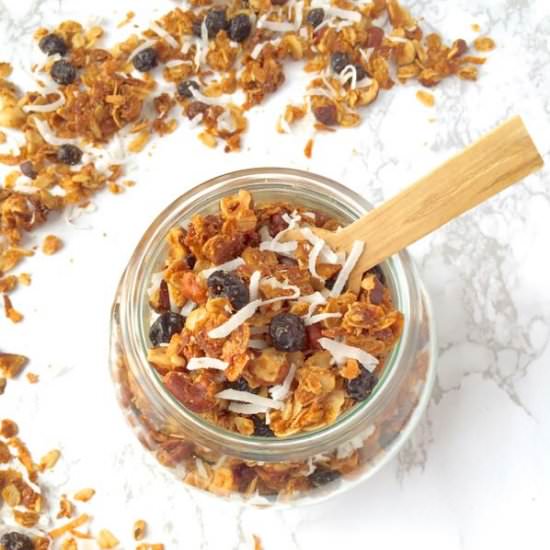 Coconut Granola with Blueberries