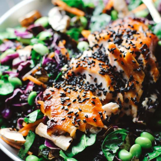 Asian Sesame Salad with Salmon