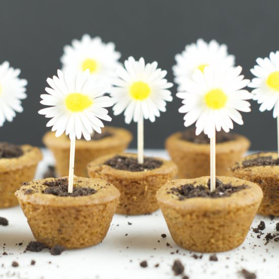 Flower Pot Cookies