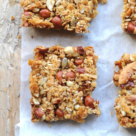 Peanut and Coconut Flapjack Bars