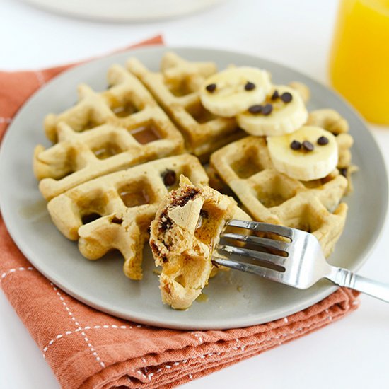 Gluten Free Protein Waffles