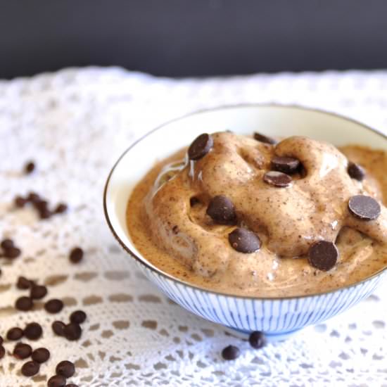 Vegan Chocolate Chip Ice Cream