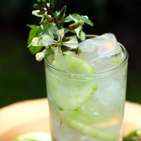 Cucumber Sangria Spritzer