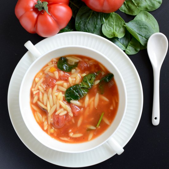 vegan Orzo & Veggie Soup