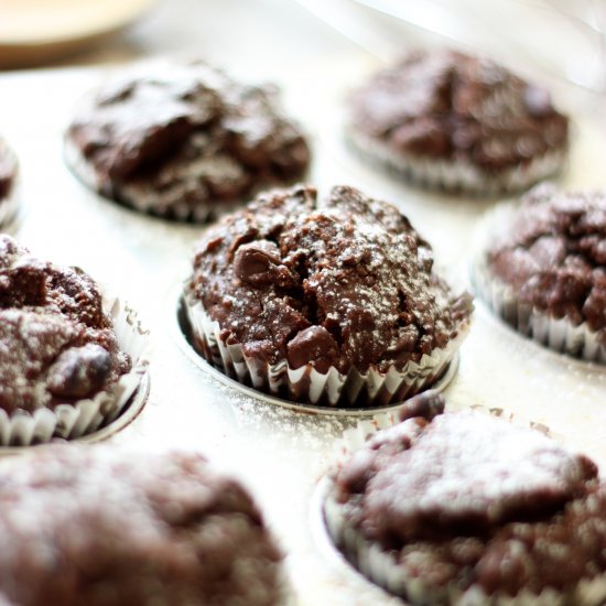 Chocolate Chocolate Chip Muffins