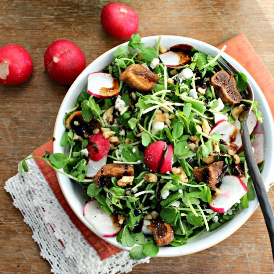 Spring Pea Shoot and Radish Salad