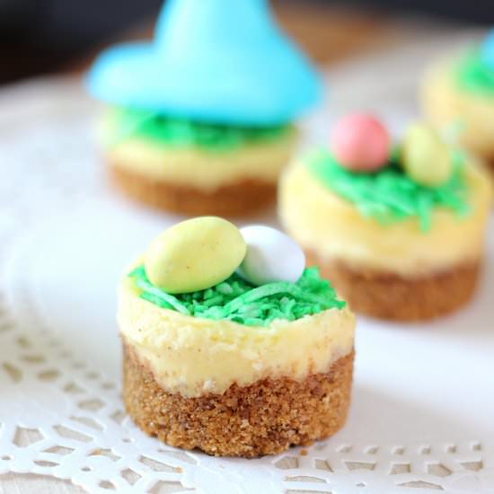 Mini Easter Cheesecakes