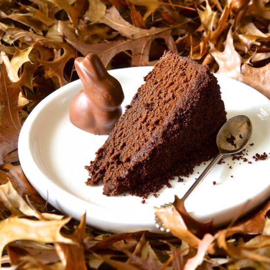 Baked Chocolate Mousse Torte