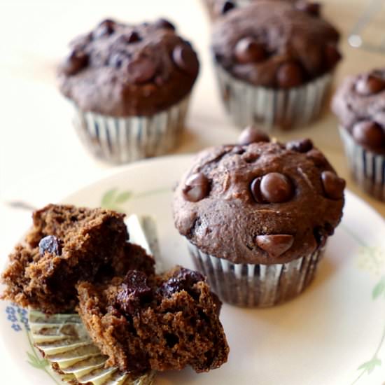 GF Chocolate Chocolate Chip Muffins