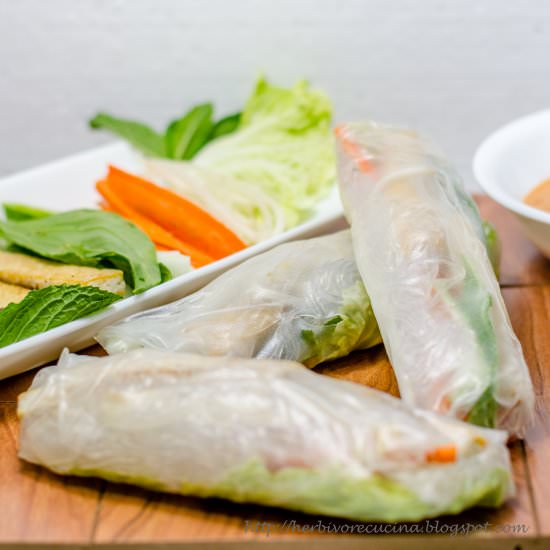 Vietnamese Rice Paper Spring Rolls