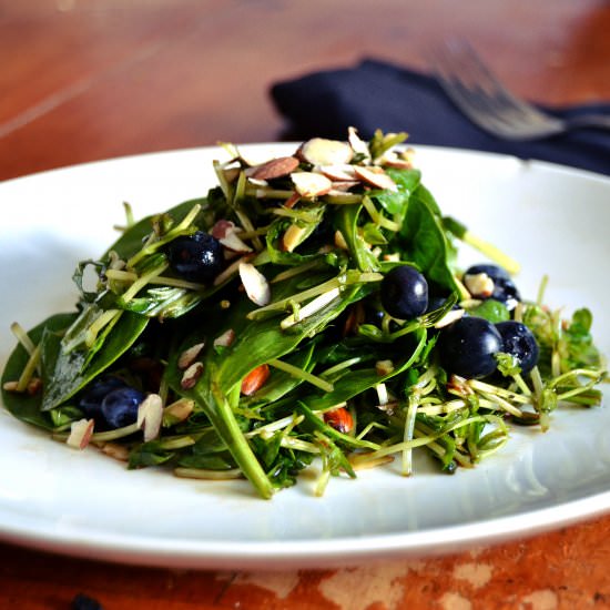 Blueberry Basil Salad