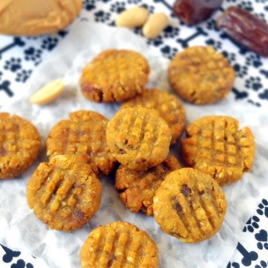 Peanut Butter Pumpkin Dog Cookies