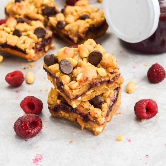 Raspberry Chocolate Chip Bars