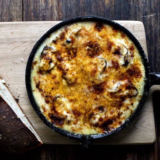 Three cheese oyster gratin