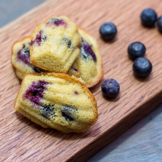 Lemon and Blueberry Madeleines