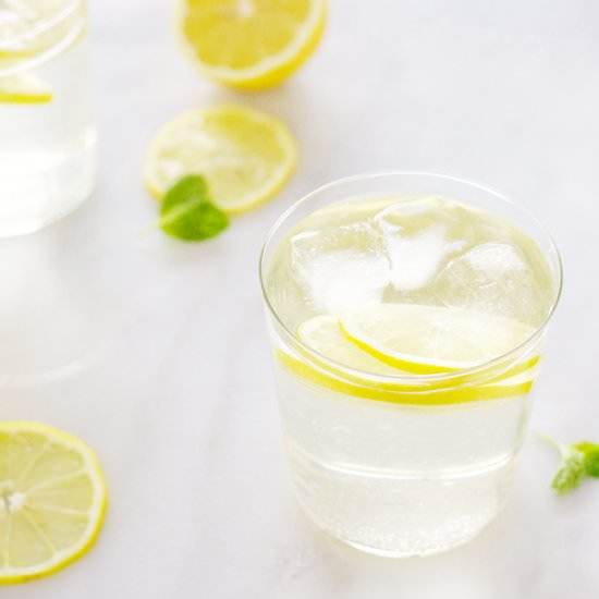 White Wine Spritzer