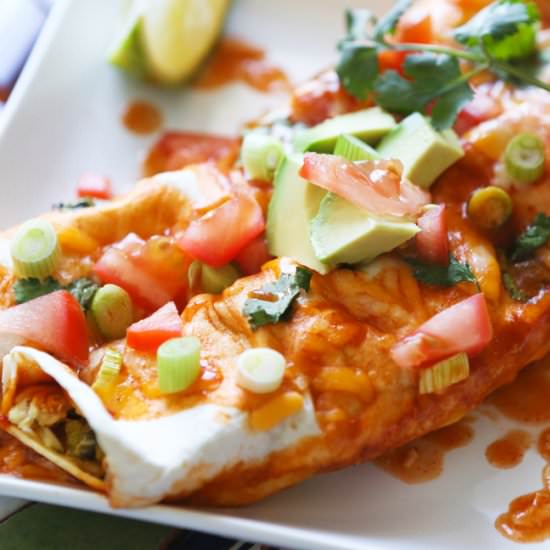 Best EVER Chicken Enchiladas