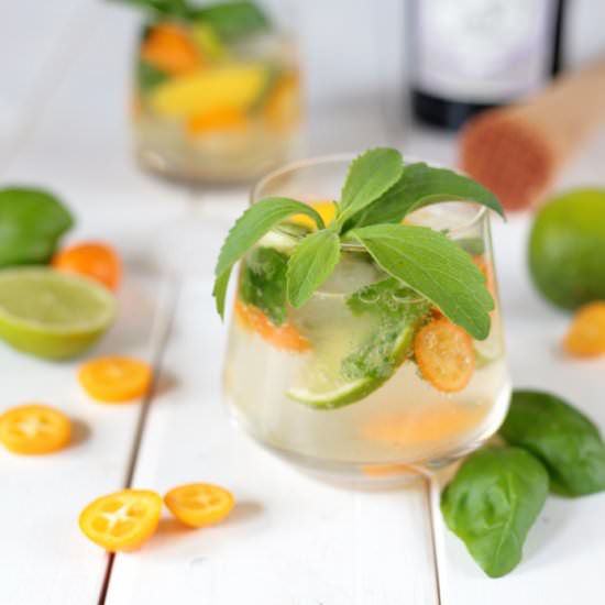 The Best Gin and Citrus Cocktail