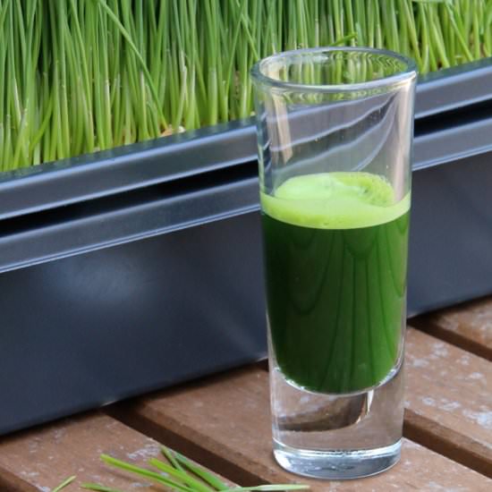 Wheatgrass Juice