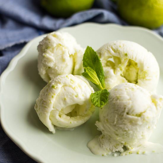 Tangy Lime Ice Cream