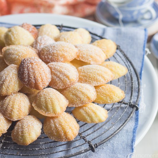 Orange Blossom Madeleines