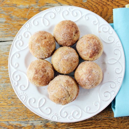 Baked Cinnamon & Sugar Donut Holes